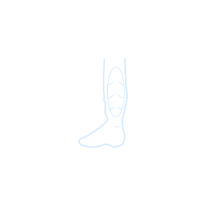 _0000s_0004_Estasis-Venosa
